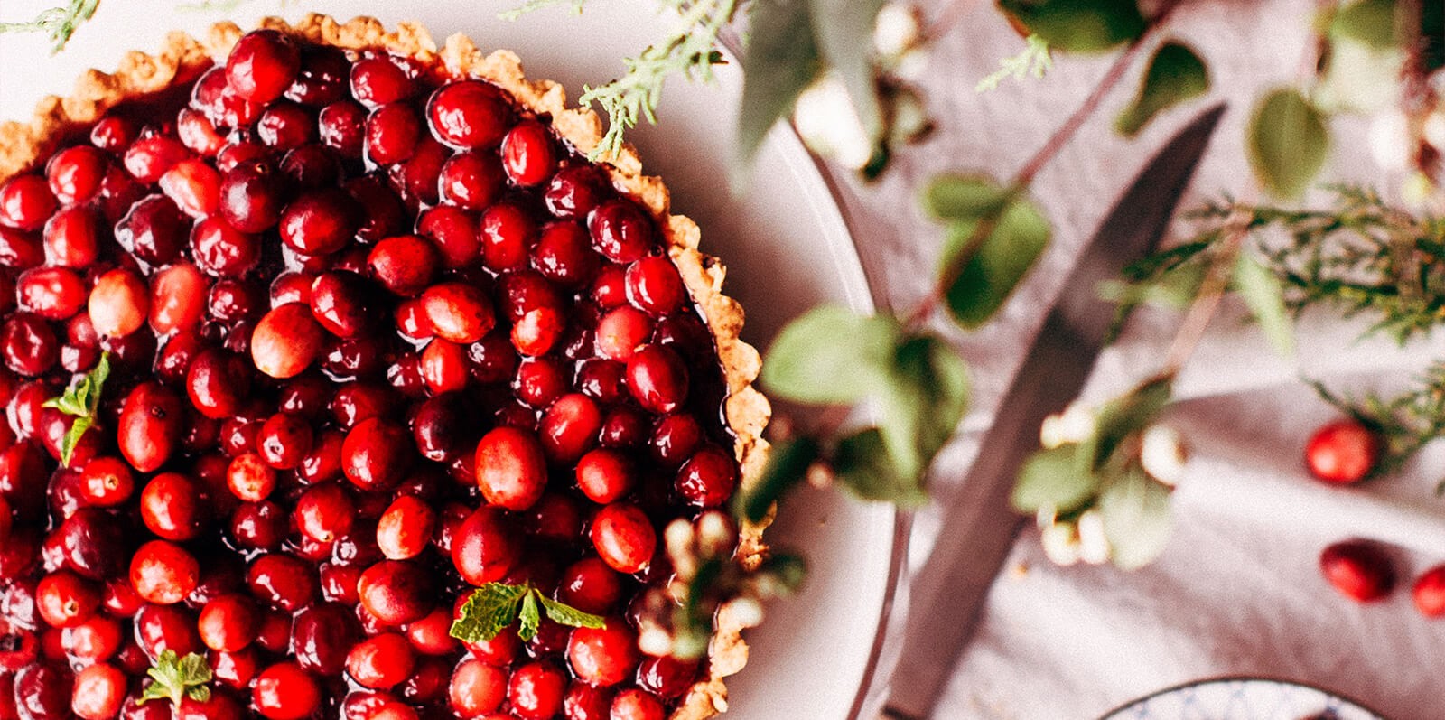 Read more about the article איך להפיק אירוע קטן עם הקלטות גדולות באזור השפלה – מדריך 2020